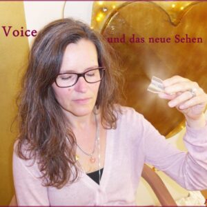 02-Voice-Rahmen