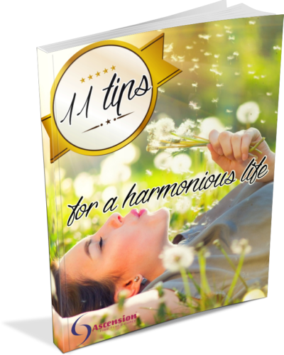 11-tips-for-a-harmonious-life-ebook-standing