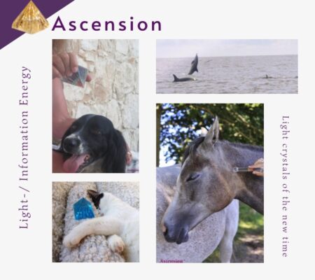 Asc-light-information-energy-ascension0.44
