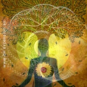 Ascension-geistige-Reife