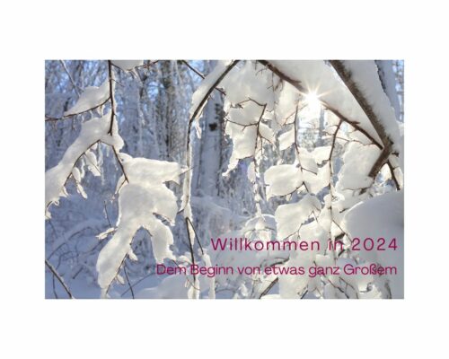 2024-500x400