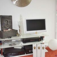 Siegel-weiser-Fernseher-600x450