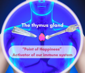 Point of Happiness