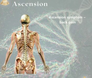 Asc-WS-international