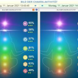 Ascension-Chakra-Nilas-2-700x600