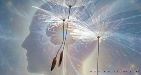 Tanz-der-Emotionen-550x294