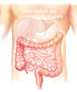 Botschaften-des-Korpers.II-jpg-250x300