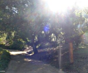 Ascension-Portugal-1-400x350 heart 2