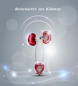 Niere-2 kidneys 2