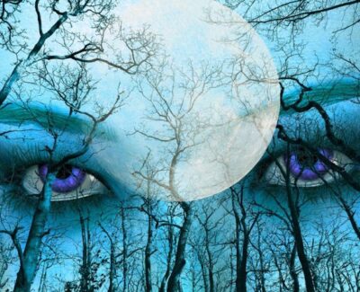 Augen-blue-1713283-600x450 the EYES