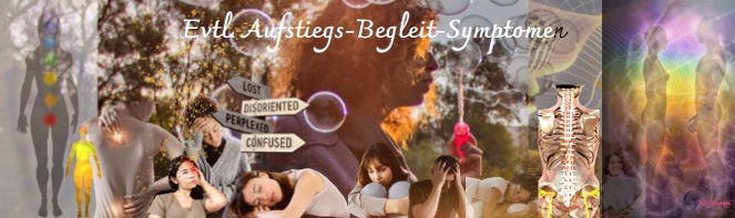 Screenshot Screenshot