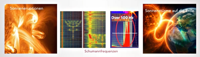 Screenshot Screenshot