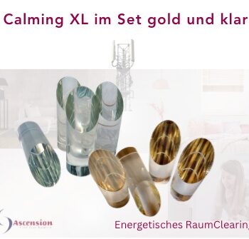 Screenshot Screenshot